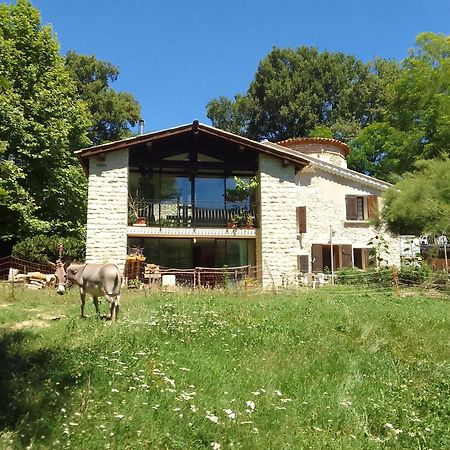 Les Favouilles - Gite & Chambres D Hotes Dauphin Exterior photo